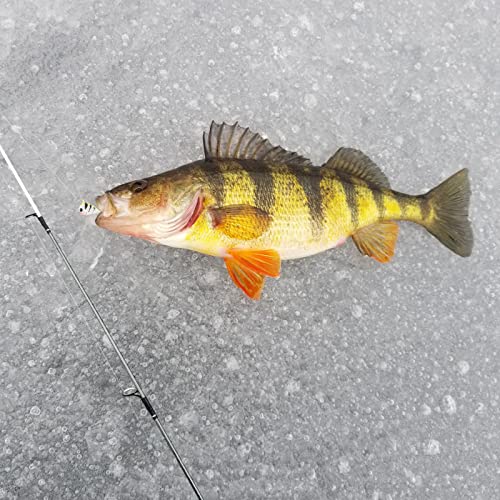 BASSDASH Tungsten Ice Fishing Jigs with Glowing Paint Fishing Lures for Winter Ice Jigging Crappie Bluegill, 6-Pack - color: BI10 - B, size: 3.2mm - 1/58 oz. - #16 Hook