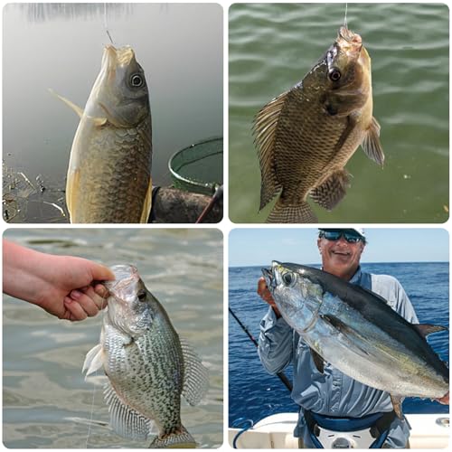 Dr.Fish 30 Pack Round Bend Treble Hooks #16-#8/0, Triple Fishing Hooks Saltwater&Freshwater, Replacement Hardbait Crankbait Spinner Catfish Walleye Trout Salmon Bass Fishing - color: Silver, size: #5/0-30 Pack