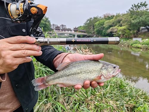 Telescopic Fishing Rod and Reel Combination, 240 Cm Carbon Fiber Rod, Adult Foldable Fishing Rod Suitable for Freshwater and Salt Water - color: Color guide ring