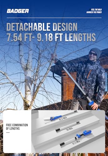 WILD BADGER POWER Pole Saw Cordless 40V 8'' Electric 2.0Ah with Detachable Pole, 2Ah Battery and Charger included - style: 40V