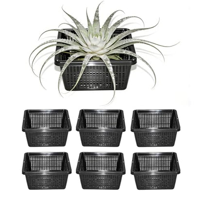 6 Pack Square Aquatic Plant Planter Basket - 7 Inch (18cm) Mesh Pond Plant Pots, Plastic Slotted Design for Water Garden, Aquaponics & Hydroponics Outdoor Use