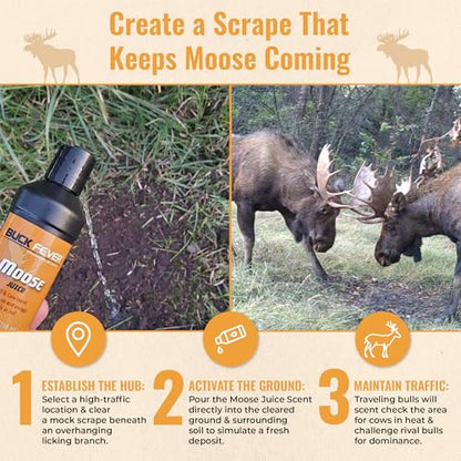 Buck Fever Moose Juice, Syntheticly Formulated Moose Attractant - Non-Spoiling Synthetic Bull Scent for Outdoor Trail Camera - Early Season Mature Buck Hunting Scents - size: 4 Fl Oz (Pack of 1)