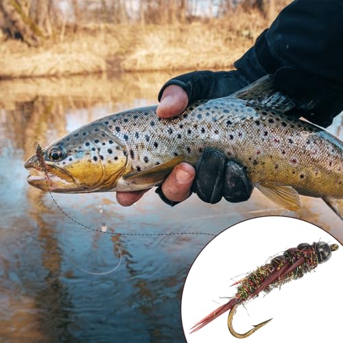 10 Pcs Fly Fishing Flies Kit, Stonefly Nymph Baits for Trout Fishing Flies, Fly Nymphs Assortment Kit, Artificial Insect Bait Lure