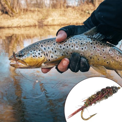 10 Pcs Fly Fishing Flies Kit, Stonefly Nymph Baits for Trout Fishing Flies, Fly Nymphs Assortment Kit, Artificial Insect Bait Lure