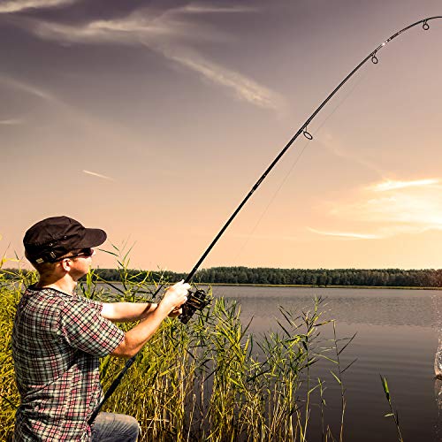 Cadence Essence 2025 Compact Design Spinning Rod 5.6FT | 24-Ton Graphite Lightweight | Stainless Steel SIC Guides | Freshwater & Saltwater | High Sensitivity - style: 6'6"|medium|fast|1 Piece
