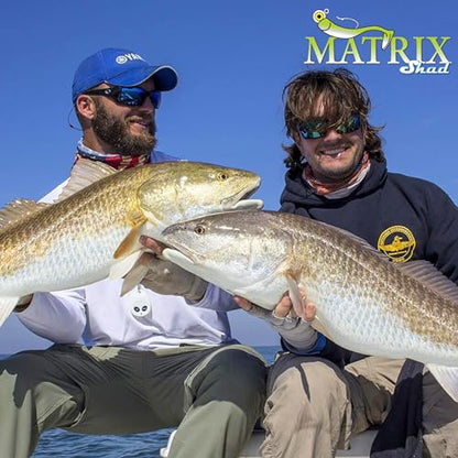 Fishing Lures for Speckled Trout, Redfish, Bass - Louisiana Paddle Tail Swimbaits for Freshwater and Saltwater - color: Holy Joely