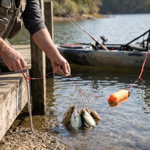 Fish Stringer with 10 Detachable Stainless Steel Hooks, 16.4ft PVC Coated Rope High Strength Fishing Lock for Kayak Fishing
