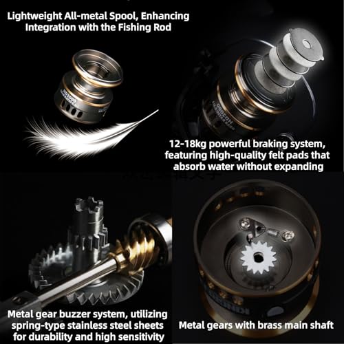 Spinning Fishing Reel, 5.2:1 Gear Ratio Fishing Reel CNC Aluminum Spool Up to 20 Lbs Max Drag with Left/Right Interchangeable for Inshore Boat Rock Freshwater Saltwater Fishing - size: 1000
