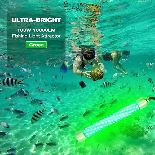 F2 110V &12V Underwater Fishing Light 100W 10000lm Bright Fish Attracting Light for Boat Docks Kayaks at Night, Submersible Green Light for Crappie Snook Bass Squid Bait Catfish(16.4ft Cord) - size: 16.4FT F2