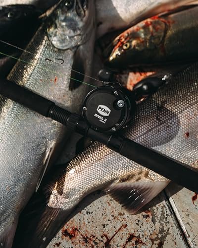PENN Rival Level Wind Conventional Fishing Reel - size: 15, style: New Model