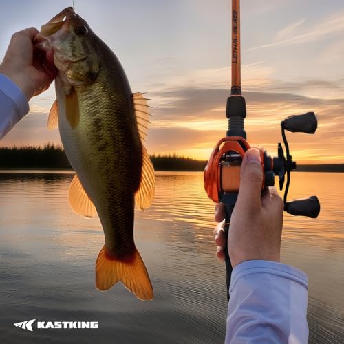 KastKing Lethal Blaze Twin-Tip Fishing Rods, IM6 Graphite Blanks Casting & Spinning Rods, 2-Piece Rod with Extra Tip, PTS Power Transition System, Ideal for Bass, Freshwater & Inshore Fishing - size: 7'4''- H (2pcs + Extra Tip), style: Cast