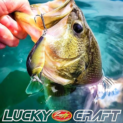LUCKY CRAFT LC 1.5 Silent Squarebill Crankbait Fishing Lure, 2-3/8", Bass Fishing Lures for Freshwater, Hard Crankbait with Treble Fishing Hooks, Fishing Accessories - color: 176 Flake Flake Striped Gill