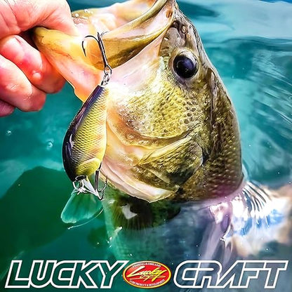 LUCKY CRAFT LC 1.5 Silent Squarebill Crankbait Fishing Lure, 2-3/8", Bass Fishing Lures for Freshwater, Hard Crankbait with Treble Fishing Hooks, Fishing Accessories - color: 136 TO Gill