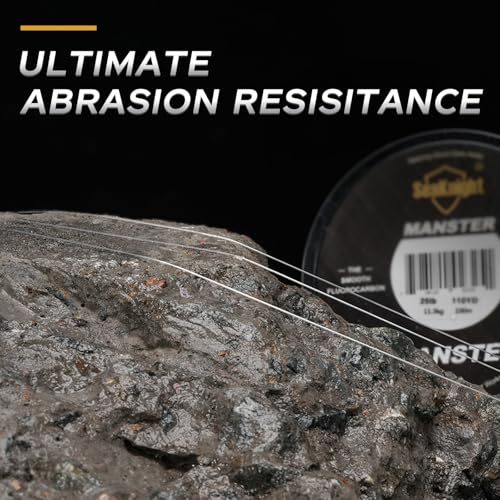 SeaKnight T2 100% Fluorocarbon Fishing Line, 110YD Japanese Material Leader Line, Low Visibility High Strength Abrasion Resistant for Saltwater Freshwater Fishing (3-35LB) - size: 3LB-110YD