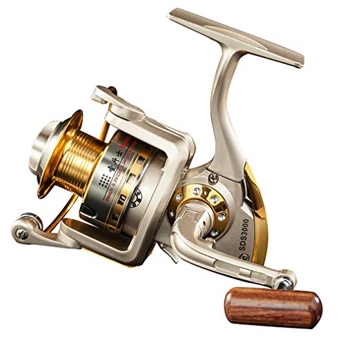 Diwa Spinning Fishing Reels for Saltwater Freshwater 1000 2000 3000 4000 5000 6000 Series Fishing Spool Left/Right Interchangeable Trout Carp Spinning Reel Light and Smooth - style: 5000