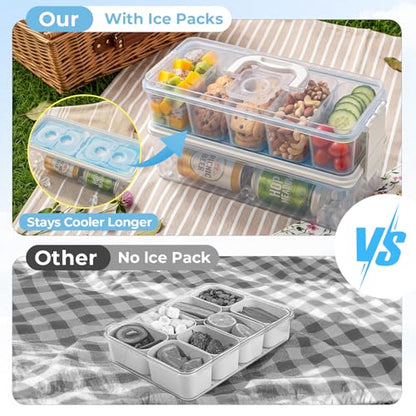 Homelove Snackle Box Container with 2 Plastic Ice Packs, Snack Organizer Divided Serving Tray with Lid and Handle, Double-layer Tray and 5-Compartment Snack Platter for Travel Party Beach Picnic - color: D