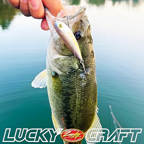 LUCKY CRAFT Pond Bass Premium Box, 7 Freshwater Fishing Lures for Pond and Lake Fish, Mystery Selection Tackle Box with Surprise Bass Lures, Fishing Gear Accessories - style: Pond Bass Fishing