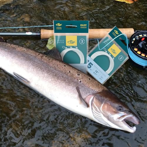 SF Pre-Tied Loop Fly Fishing Tapered Leader Nylon Clear Trout Freshwater Saltwater Bonefish Permit Bass Salmon Steelhead 7.5FT 9FT 10FT 12FT 15FT 0X 1X 2X 3X 4X 5X 6X 7X - size: 15FT-21LB, style: Salmon/Steelhead Knotted 3-pack
