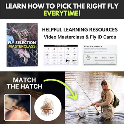 Ventures Fly Co. | 40 Premium Hand Tied Fly Fishing Flies Assortment | Fly Box Included | Dry, Wet, Nymphs, Streamers, Wooly Buggers, Terrestrials | Trout, Bass Lure Set, Kit