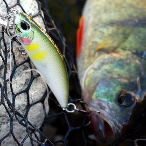 Fishing Snaps Power Clips,50pcs/100pcs Stainless Steel Speed Clip for Fishing Lure Quick Change,Crankbait Popper Lures Quick Snap Connector Tackle Saltwater Freshwater - size: Clips - Small 50pcs