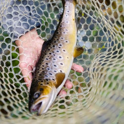 Kylebooker Fly Fishing Landing Net Wooden Frame Trout Fishing Net Soft Rubber Mesh for Catch and Release - color: Round Shape-Round Hole