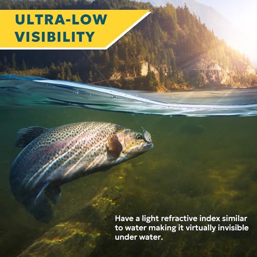SF Ultra Smooth Monofilament Mono Fishing Line with Spool Mono String Nylon Invisible Line Clear 2 4 6 8 10 12 14 17 20 20LB Fishing Wire Freshwater Saltwater - color: Clear-2LB/0.12MM