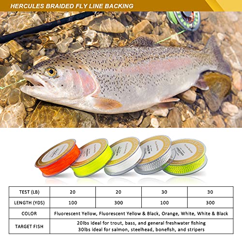 HERCULES Braided Fly Line Backing 20lb 30lb, 100Yds 300Yds, with Long-Lasting Color - color: White & Black, size: 20LB 100Yds