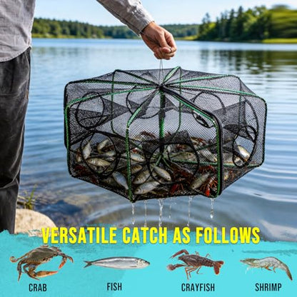 Fishing Bait Trap Crab Trap Minnow Traps, Foldable Net for Blue Crabs Lobster Shrimp Crawfish with Rope and Crabbing Equipment - color: Black-1 Pack, size: 10 Holes-28.7" x 10.2"