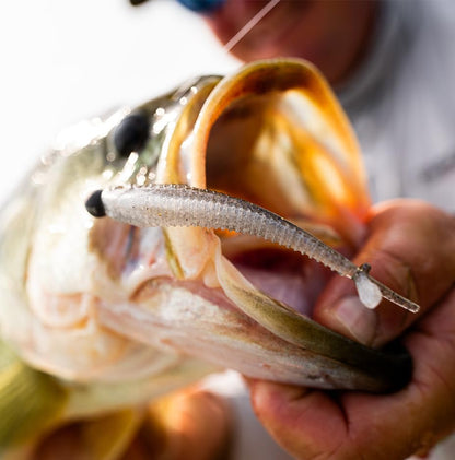 CrushCity Mooch Minnow Soft Plastic Minnow Bait, Natural Profile for Drop Shot, Jig Head & Multi-Species Fishing - color: Green Pumpkin Goby, size: 3-1/2"