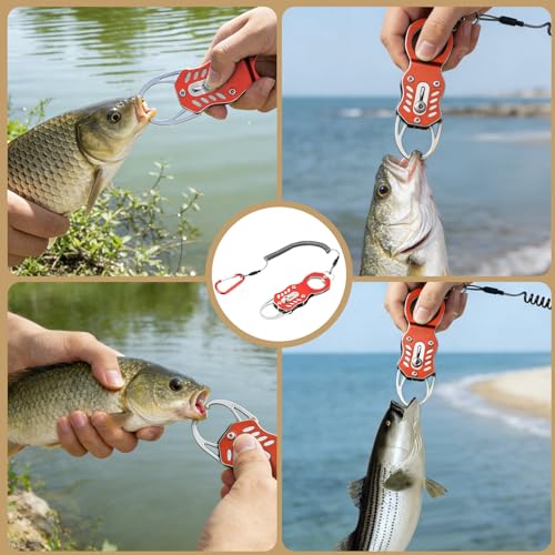 Stainless Steel Mini Fish Grip Tool, Portable Fishing Pliers with Retractable Lanyard and Carabiner, Self-Locking Rustproof Lip Gripper for Kayak Saltwater Freshwater Fishing