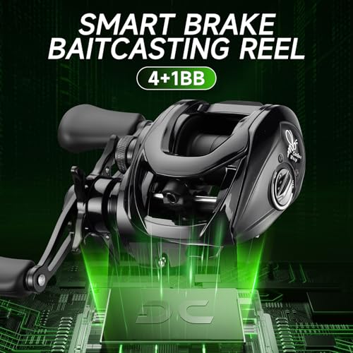 HAUT TON Matel Master Advanced Version Baitcaster reels,6.2:1Gear Ratio,5+1Ball Bearing,Bait clickers,12Lb Drag System Fishing Reels,for Saltwater,Freshwater - color: CW-DC