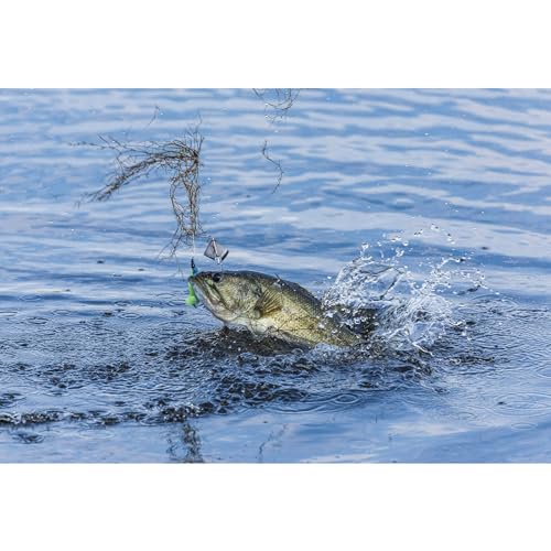 BUCKEYE LURES G-Buzz Single Bladed Buzzbait - Durable Fish-Catching Topwater Lure for Bass Fishing - color: Black w/Black, size: 3/8