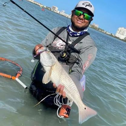 A.M. Fishing Curly Tail Jerkshad 4 Inch Soft Baits Garlic Infused,– 8 Pack – Saltwater & Freshwater Fishing Lures for Bass, Redfish, Snook, and Trout - color: Midnight Mullet