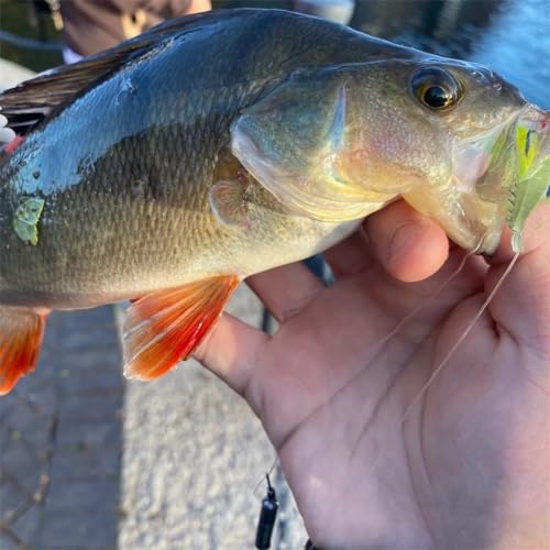 Pre-Rigged Shrimp Crawfish Soft Plastic Fishing Lures, Premium Durable Swimbaits for Freshwater Saltwater, Fishing Jigs for Bass- Amazing Fishing Gifts- Store Separately, Prevent Melting