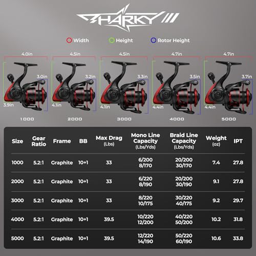 KastKing Sharky Spinning Reel – 5.2:1 & 6.2:1 Gear Ratios, Carbon Fiber Drag 33–39.5LB, 10+1 Stainless Bearings, Lightweight Nylitech Body, Oversize Shaft, for Saltwater & Freshwater - color: 5.2:1-Sharky III, size: 2000