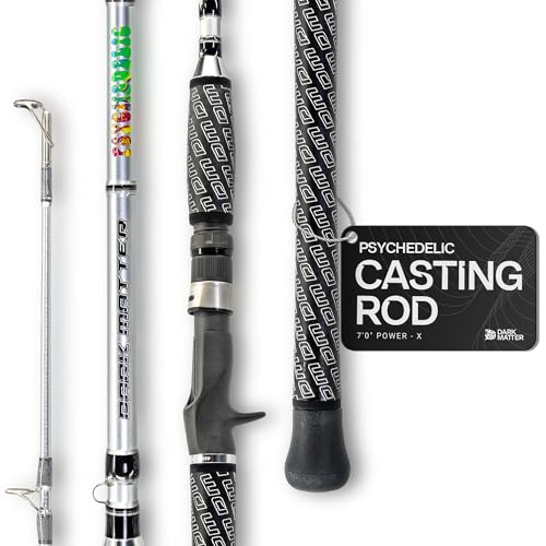 Dark Matter Psychedelic Casting Fishing Rods Medium Heavy Power X - High-Modulus M3 Carbon Nano Baitcaster Rod Saltwater and Freshwater Fishing Rods, 7ft Medium Heavy Baitcasting Rod - color: Silver, size: 7'0" Power - X