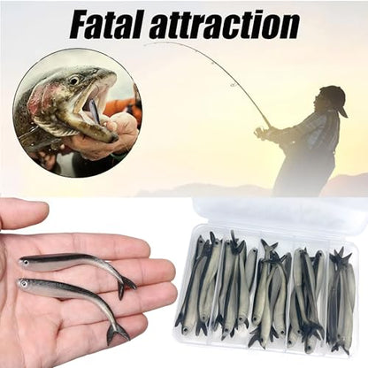 Fishing Soft Plastic Lures, Paddle Tail Swim Baits for Bass Fishing,Paddle Tail Swimbaits for for Bass Trout Walleye Lures, 30/50pcs Soft Plastic Baits with Box - color: D:3.15in/0.07oz-30pcs