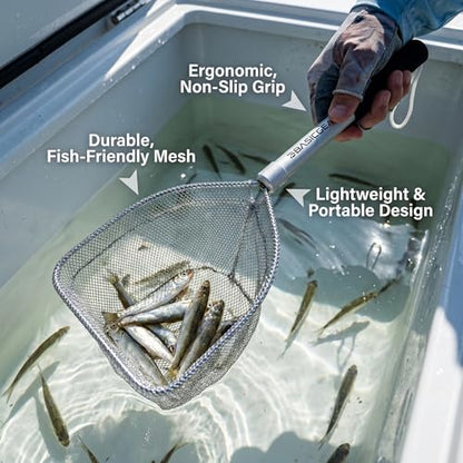 BasicGear Compact Baitwell Net for Live Bait – Soft Nylon Mesh, Aluminum Frame, EVA Non-Slip Grip & Anti-Drop Rope - size: Medium