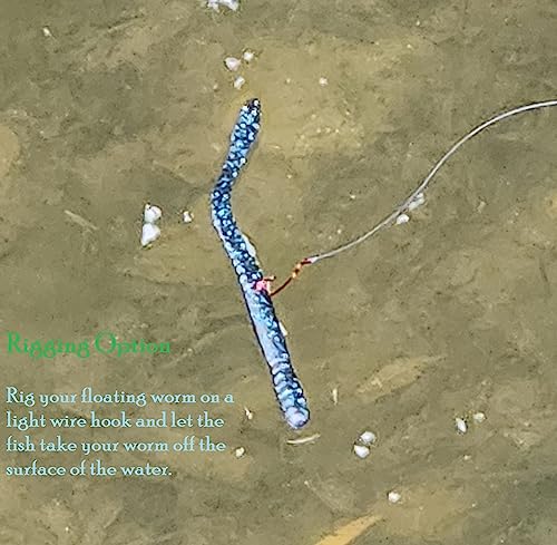 Floating Worm 10 Per Pack 6 Inch Scented Bass, Walleye and More - color: Junebug