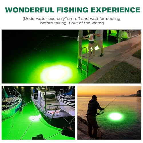 F2 110V &12V Underwater Fishing Light 100W 10000lm Bright Fish Attracting Light for Boat Docks Kayaks at Night, Submersible Green Light for Crappie Snook Bass Squid Bait Catfish(16.4ft Cord) - size: 16.4FT F2