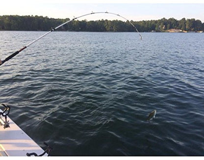 Ugly Stik 7’ Catfish Spinning Fishing Rod and Reel Catfish Combo, Ugly Tech Construction with Clear Tip Design, 7’ 2-Piece Moderate Fast Action Rod