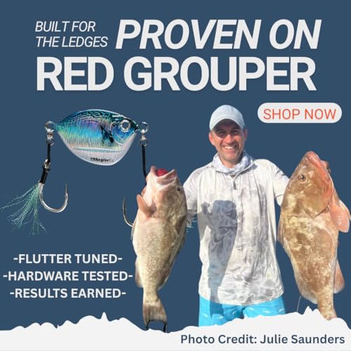 Imposter Jig, Bonita Pattern, Slow Pitch Fishing Lure, Inshore and Offshore - size: 200 Gram