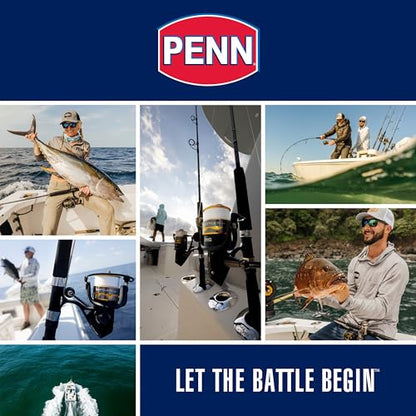 Penn Wrath II Spinning Reel and Fishing Rod Combo - size: 8000 Size Reel - 12' - Heavy - 2pc