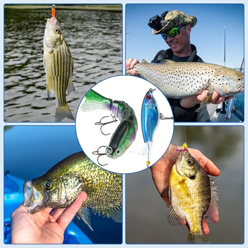 SMMYMGF Fishing Lures Tackle Box Kit,Saltwater Freshwater Fishing Gear and Equipment,Including Bionic Swimbait,Top Water baits,Soft Plastic Baits, Accessories etc for Bass,Trout, Salmon. - color: 77pcs Fishing Tackle Box
