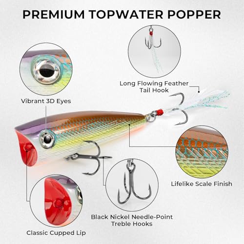 KastKing Superpower Braided Fishing Line and Lure Kit, 4X Braid Line with Hard & Soft Baits, Topwater, Jigs, Rigs&Jerkbaits, Complete Freshwater Fishing Gear Set for Bass,Trout & Walleye,Gift for Men - size: Line: 30 LB-200 Yds + Lure: Popper 1pc