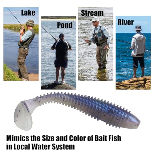 Paddle Tail Swimbaits, 2.5 inch/3inch Soft Lures Fishing Trout Crappie Bass for Freshwater and Saltwater 75PCS/60PCS - color: Junebug Purple, size: 3 inch, 60 PCs