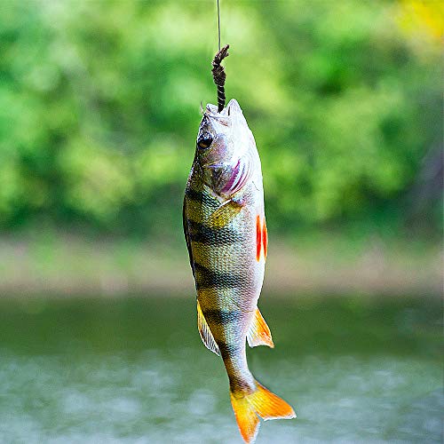 Handmade Fly Fishing Flies Kit Dry Fly Poppers Panfish 50/100pcs | Topwater Fly Fishing Lures Assortment Set Floating Baits for Bass Salmon Trout Bluegill with Free Tackle Box Organizer