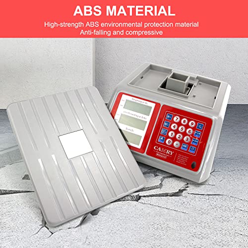 CAMRY Waterproof Commercial Food Scale, 66lb/30kg, Price Computing | IPX7 Stainless Steel Platform; Rechargeable Battery; Dual LCD Display; KG/LB Conversion; For Seafood and Farmers Market