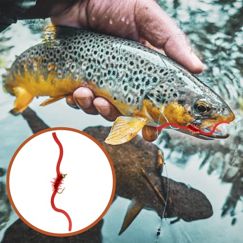 12 Pcs San Juan Trout Worm Lure Kit - Bead Head Soft Plastic Baits, Realistic Worm Lures for Trout, Bass, Salmon, Steelhead & Freshwater Fishing - size: Size 10