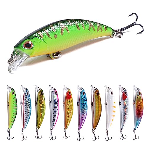 Jerk Baits for Bass Fishing, Jerkbait Fishing Lures, Minnow Lures Jerk Bait for Freshwater/Saltwater Fishing Lures for Trout Pike, 5pcs/10pcs with Box - color: C:2.56in/0.15oz/10pcs